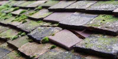 Rowhedge roof repair costs